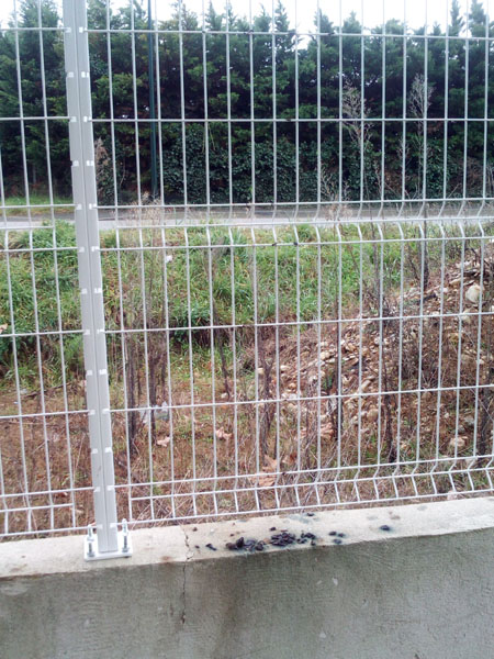 chiotte des pies
